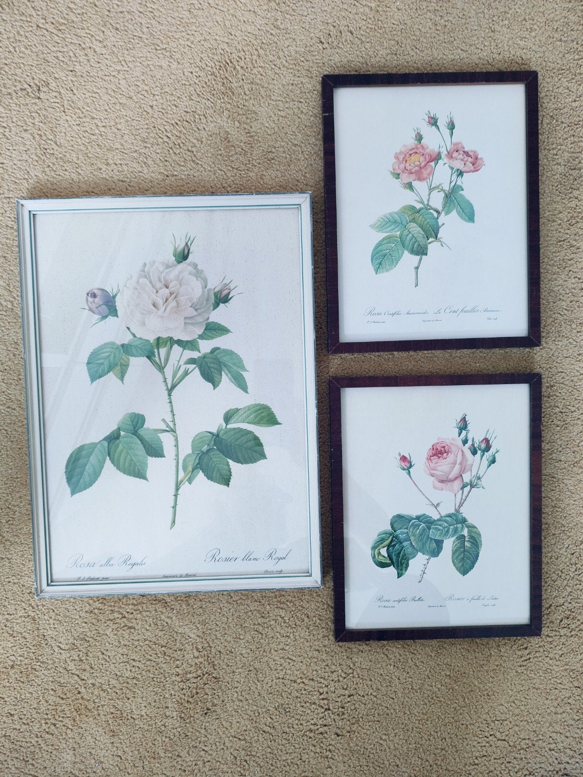 vintage rozen afbeeldingen in lijst, Ophalen of Verzenden