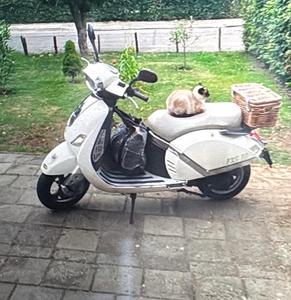 ZNEN ZN50QT-F.25 Scooter - Wit met mandje, Ophalen, Gebruikt, Overige typen, Overige merken