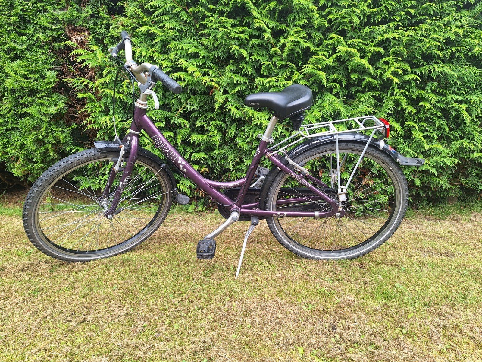 Paarse kinderfiets met lage instap en bagagedrager, Ophalen, Gebruikt, Velgrem, Overige merken