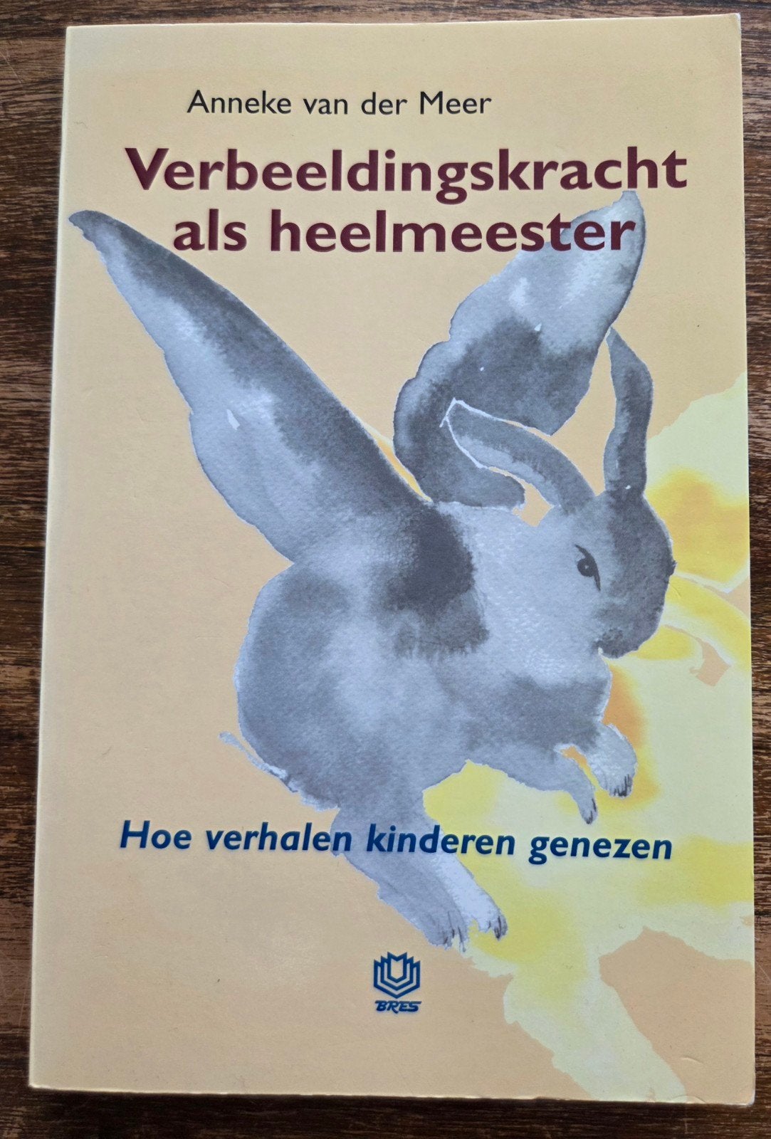 Verbeeldingskracht als heelmeester Anneke van der Meer, Verzenden, Annine E. G. van der Meer, Ontwikkelingspsychologie, Zo goed als nieuw