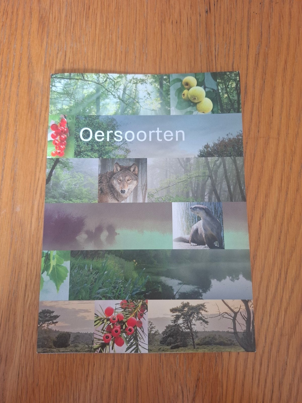 Postzegelverzameling: Oersoorten, 150 jaar Postzegels, Postzegels en Munten, Ophalen of Verzenden, Na 1940, Postfris