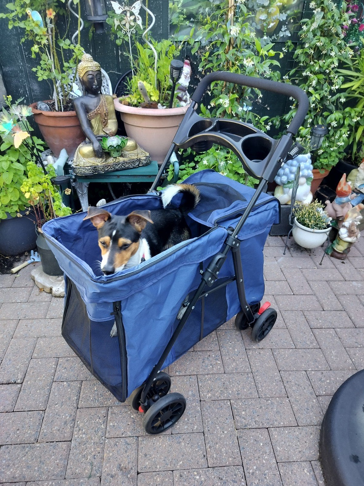 Wandel kar voor hond, Dieren en Toebehoren, Honden-accessoires, Ophalen
