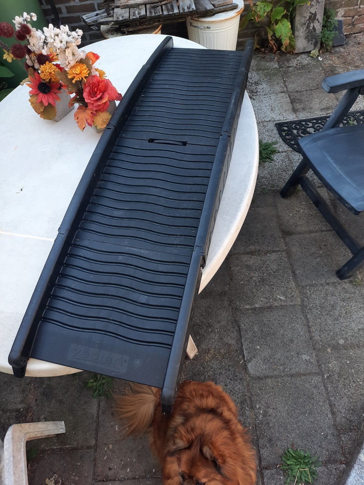Hondenloop plank., Ophalen, Zo goed als nieuw