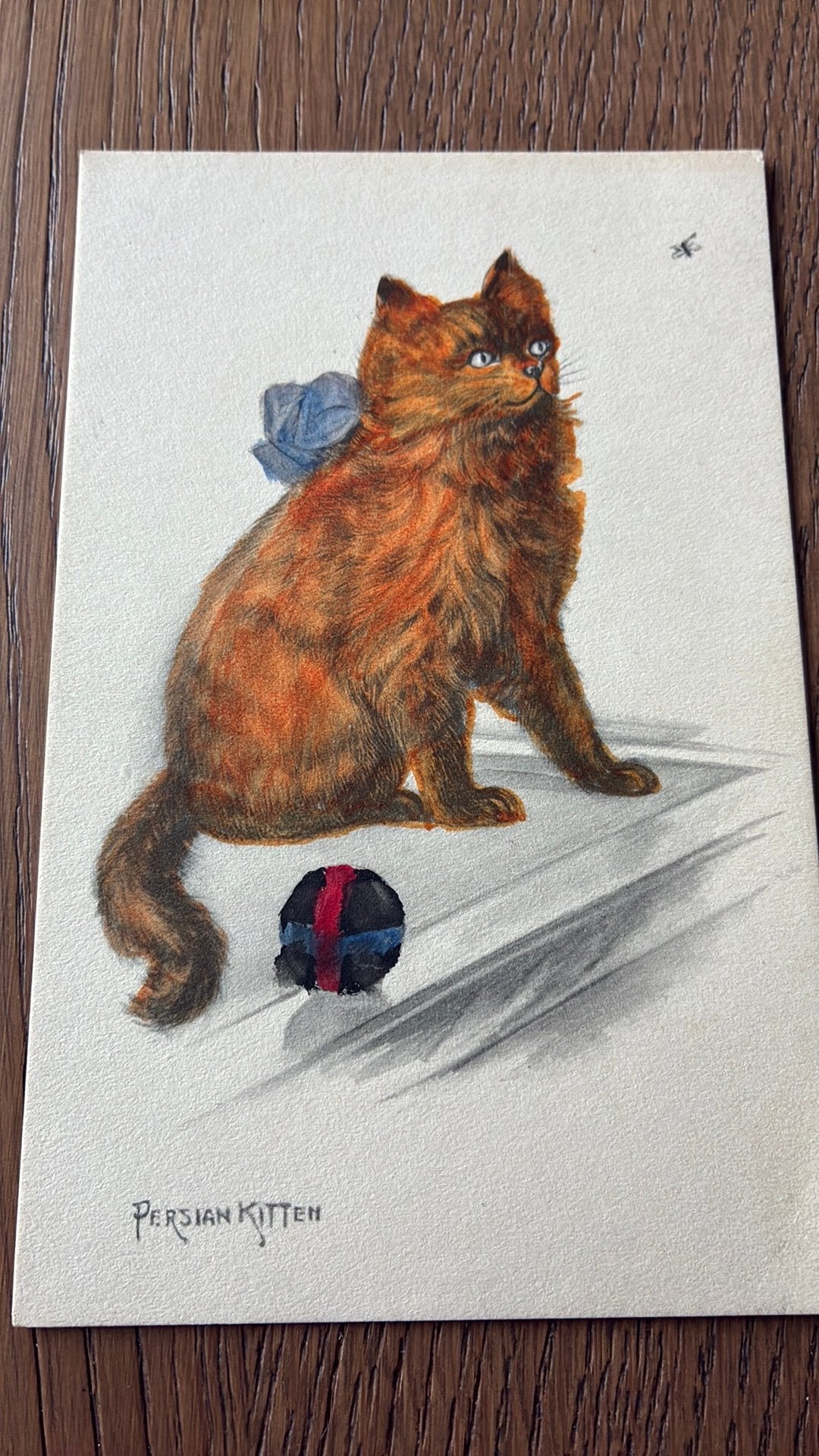 Dieren. Perzische kat. Vlieg., Ophalen of Verzenden, Voor 1920, Overige thema's