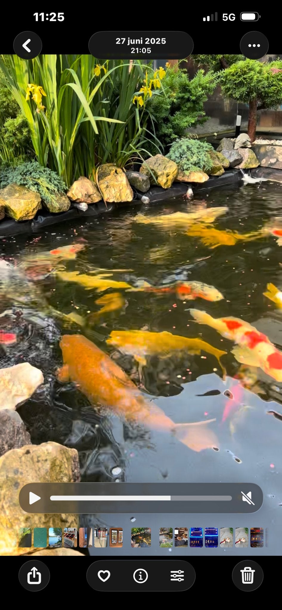 Complete Koi vijver aangeboden, Tuin en Terras, Vijver-toebehoren, Gebruikt, Vijverfilter, Ophalen