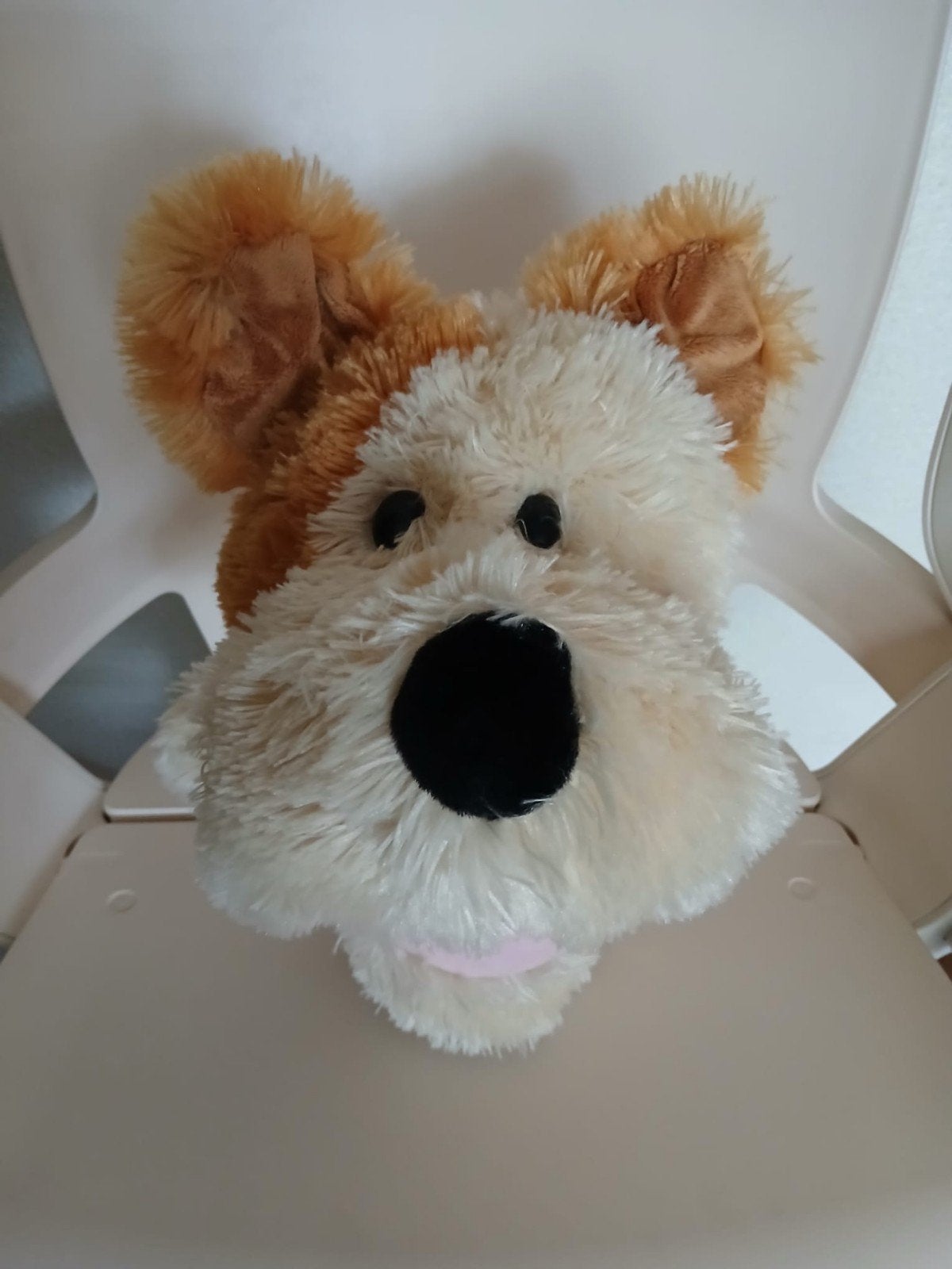 Pip van Woezel en Pip  handpop. 30cm, Zo goed als nieuw, Middelgroot (20 tot 80 cm), Beige, Hond