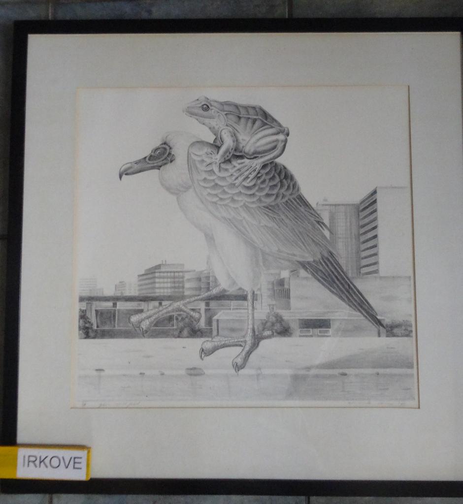 LITHO * WANKEL EVENWICHT * Gier en Pad *, Ophalen of Verzenden
