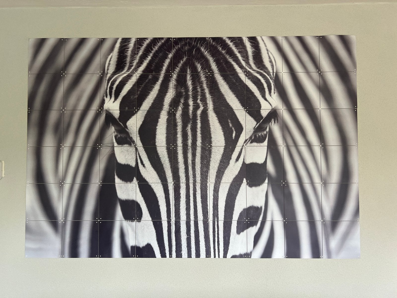 Grote Zebra Poster Ixxi - Zwart-wit, 120x180 cm, Gebruikt, 125 cm of meer, Ophalen of Verzenden, Foto of Poster
