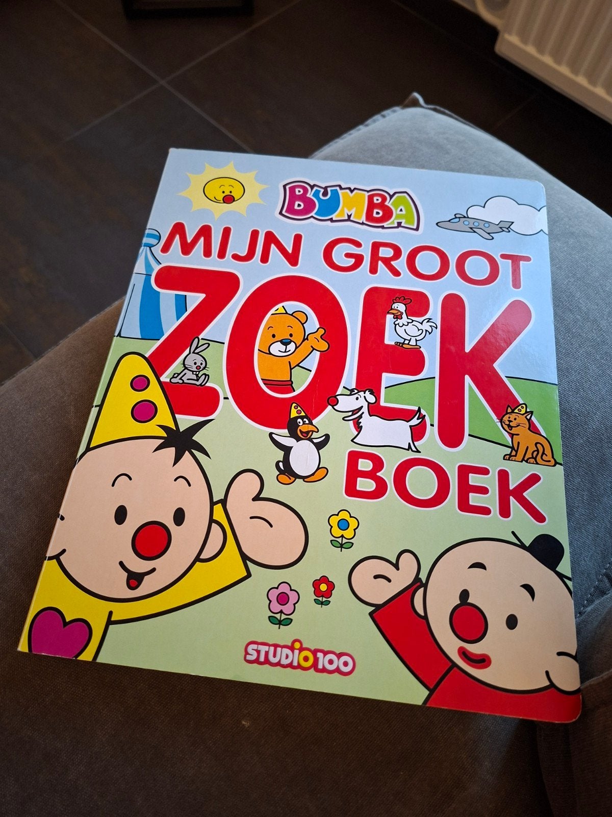 mijn groot zoek boek Bumba, Boeken, Ophalen of Verzenden, Zo goed als nieuw
