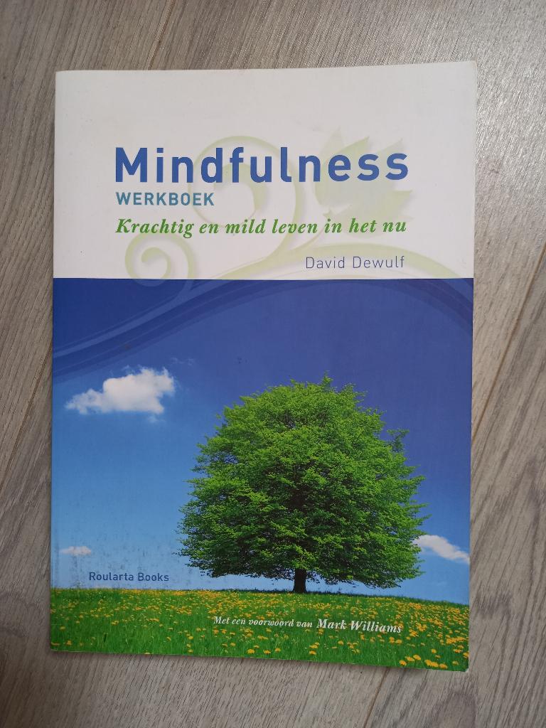 Mindfulness Werkboek David Dewulf, Ophalen of Verzenden, Gelezen, Tarot of Kaarten leggen, Overige typen