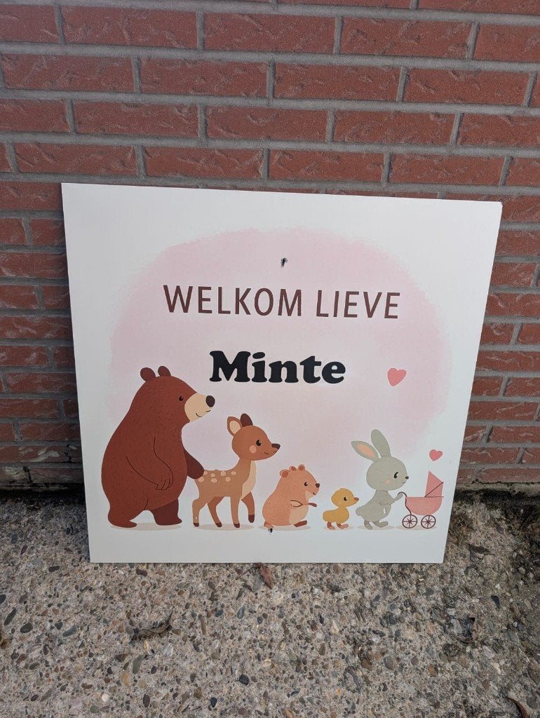 Geboortebord Dierenparade, Ophalen, Zo goed als nieuw, Geboortebord
