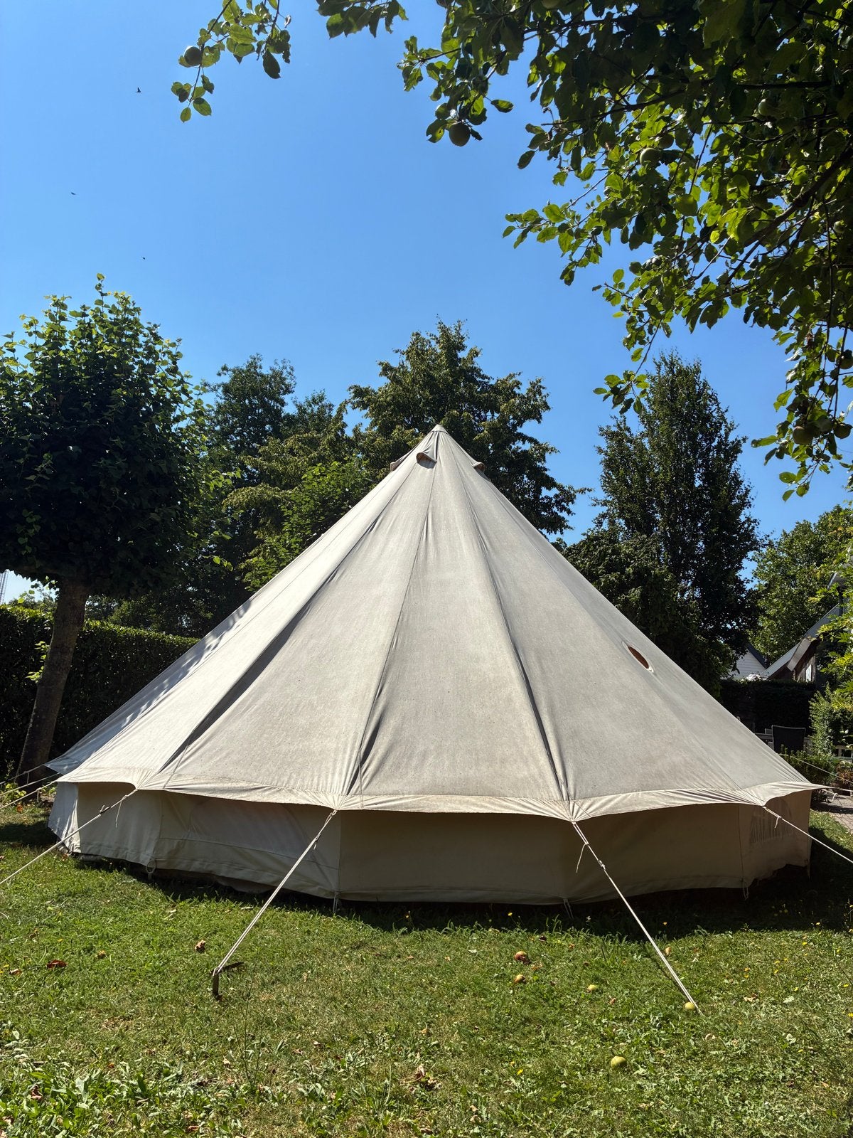 Ruime Bell 600 Tent - Ideaal voor Glamping of Festival, Ophalen of Verzenden, Gebruikt, Tot en met 6