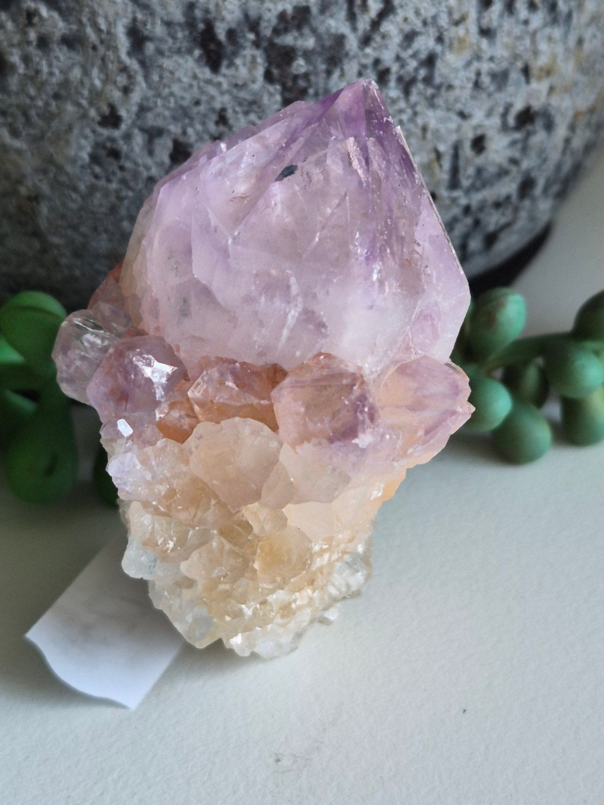 spirrit/cactus amethist, Ophalen of Verzenden
