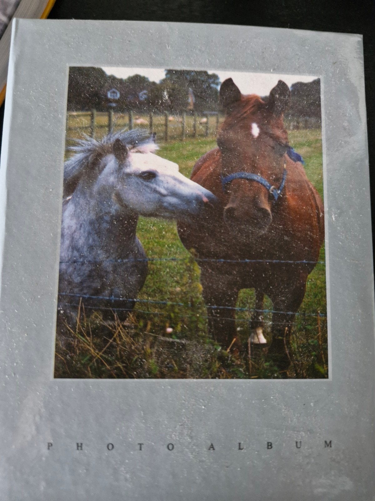 fotobewaarboek, Ophalen, Zo goed als nieuw, Paarden of Pony's
