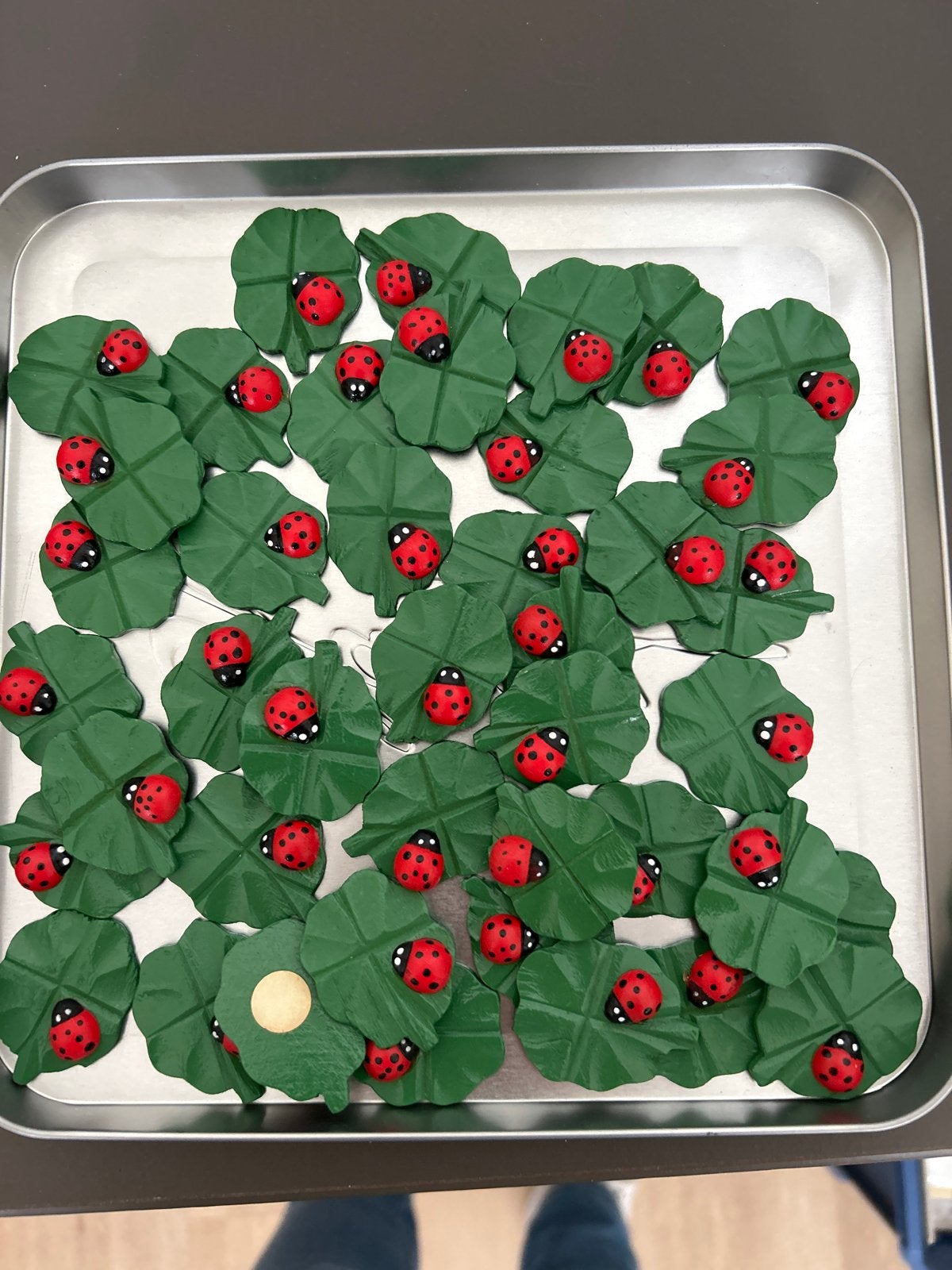 Lieveheersbeestjes op bladeren - Decoratie/knutselset, Ophalen, Zo goed als nieuw