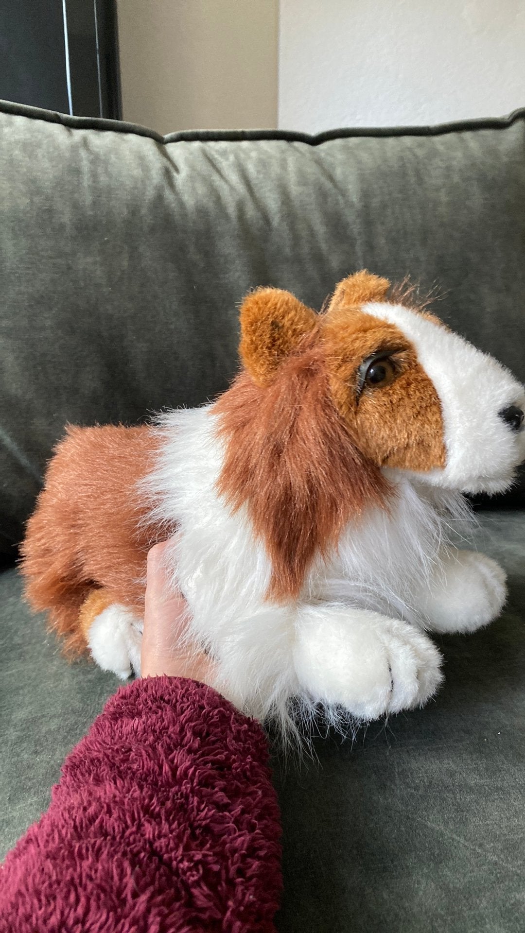 Douclas sheltie lookalike, Overige merken, Overige karakters, Middelgroot (20 tot 80 cm), Bruin