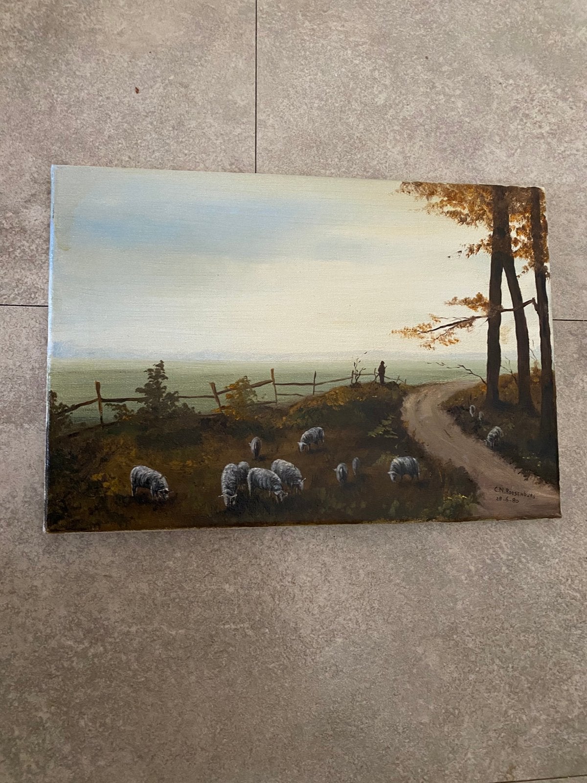 Schaapherder (zomer), Ophalen of Verzenden