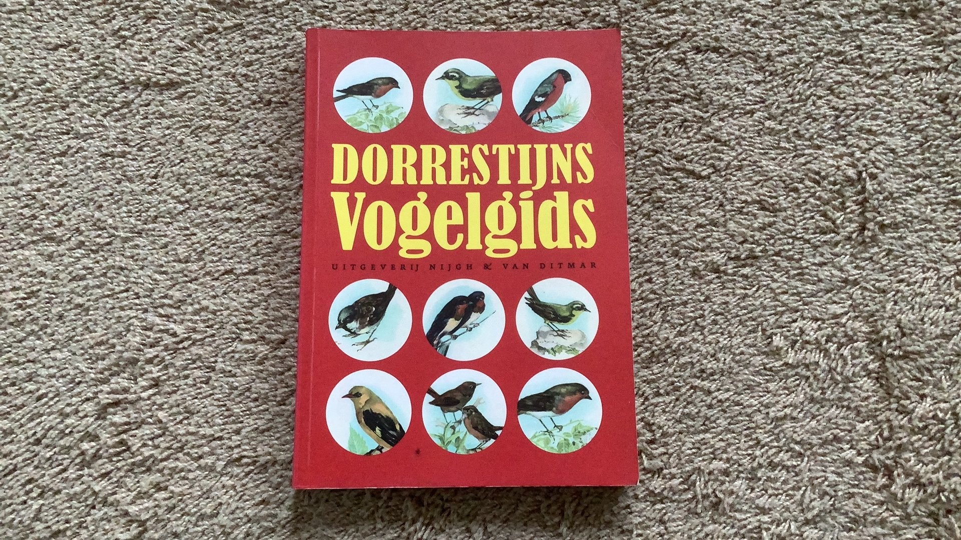 Hans Dorrestijn - Dorrestijns Vogelgids. 6e druk 2011, Ophalen of Verzenden, Zo goed als nieuw, Vogels, Hans Dorrestijn