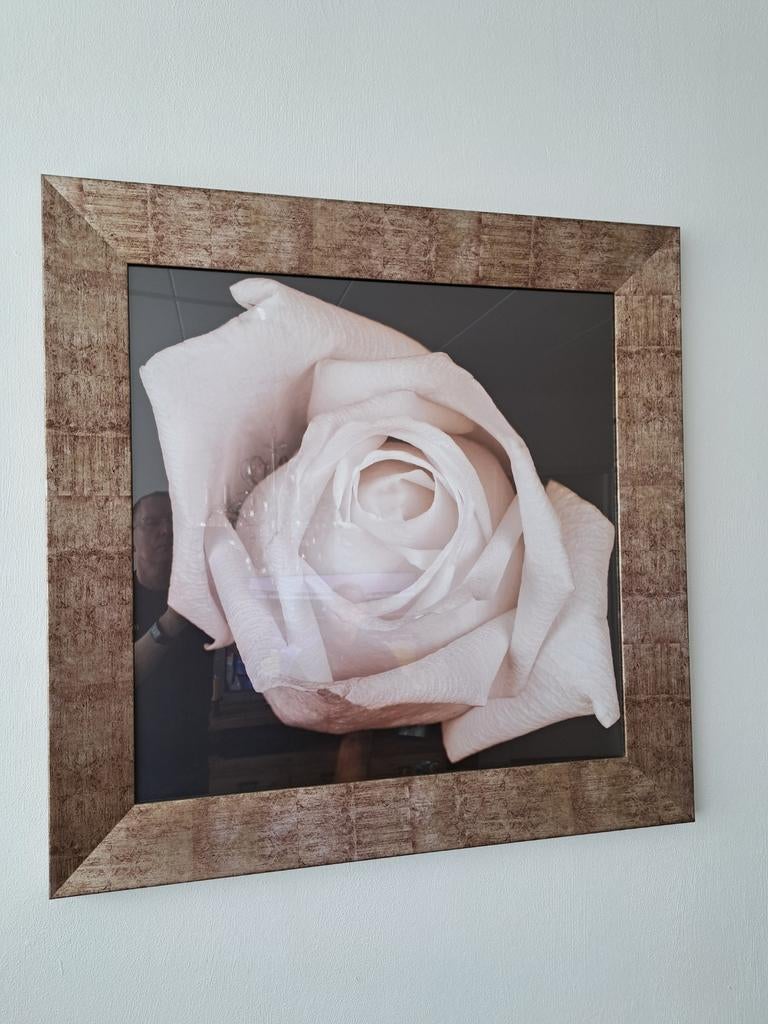 Mooi schilderij foto, met prachtige lijst, Ophalen of Verzenden, Schilderij