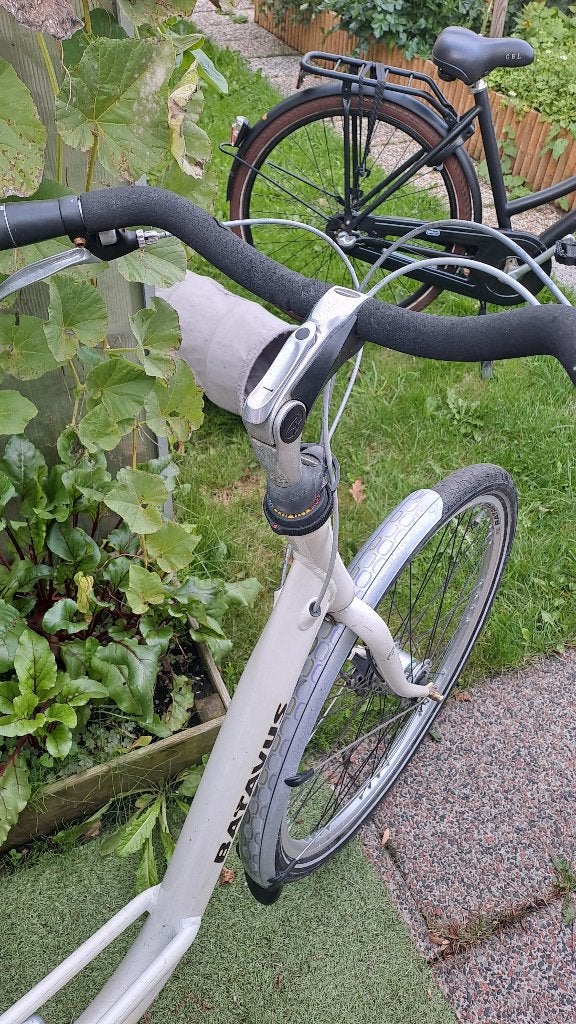 Foto 3 van Damesfiets Batavus