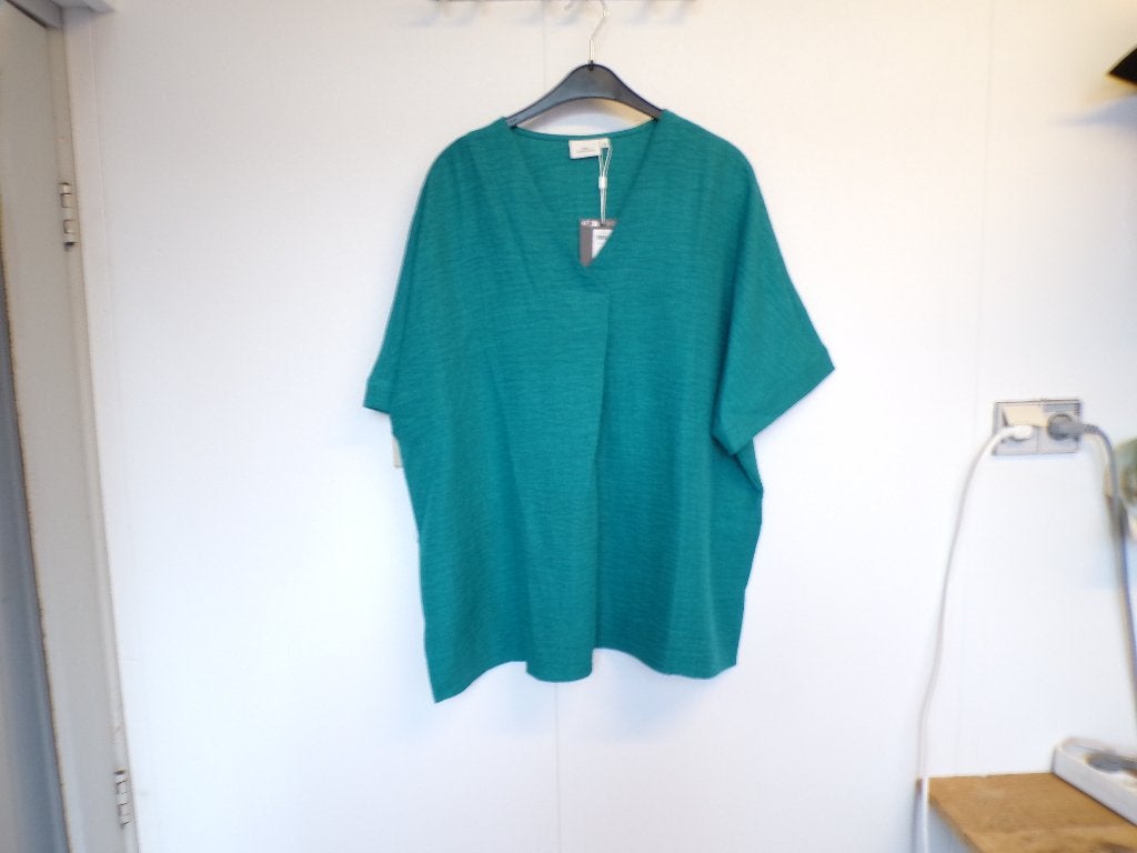 Mooie groene top Only Carmakoma v-hals plooi 46 nieuw!, Kleding | Dames, Nieuw, Nvt, Nvt, Only Carmakoma