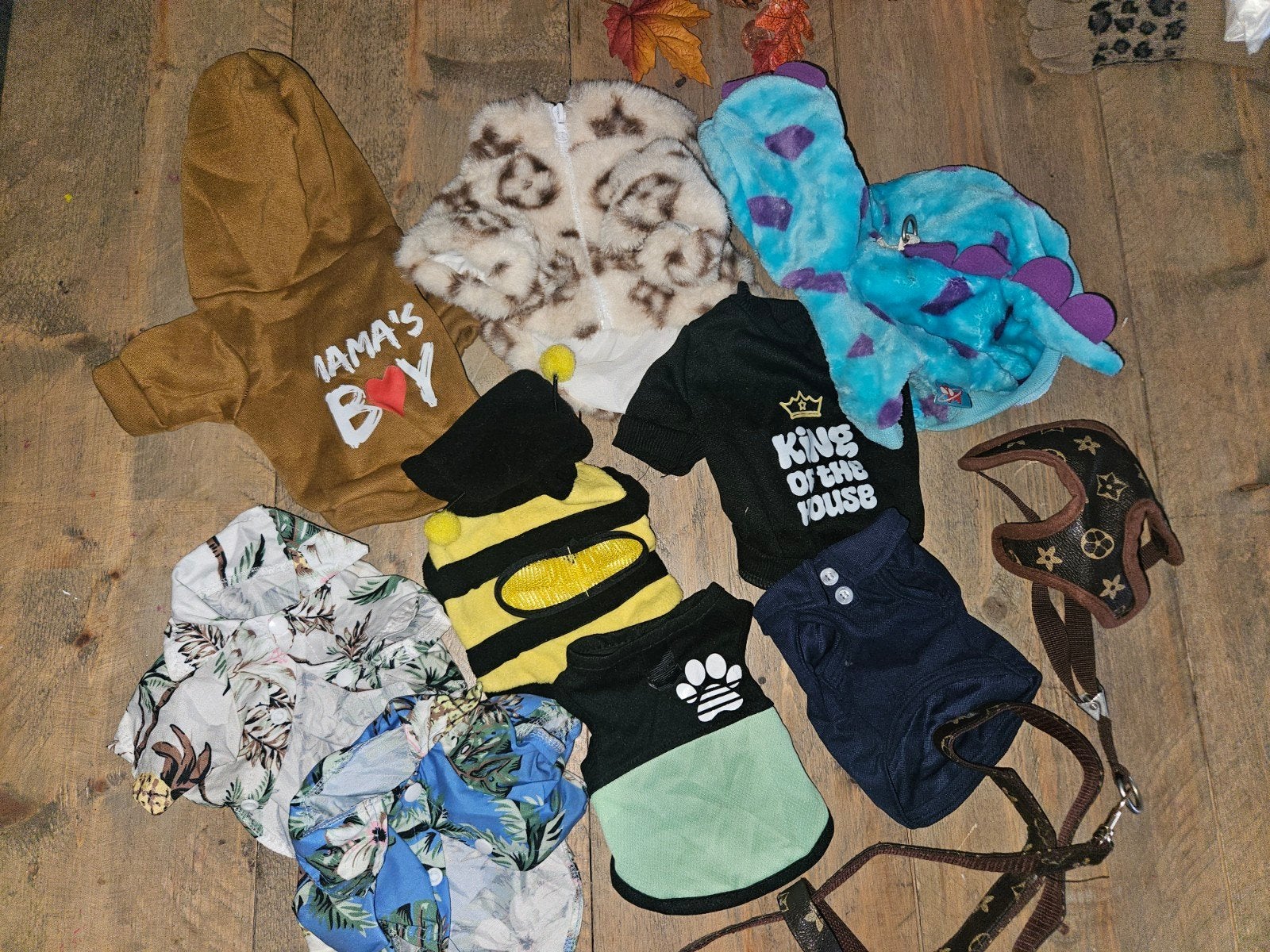 Nieuw/Zgan; Kledingpakket Puppy MtXS, Dieren en Toebehoren, Ophalen of Verzenden, Zo goed als nieuw, Overige typen