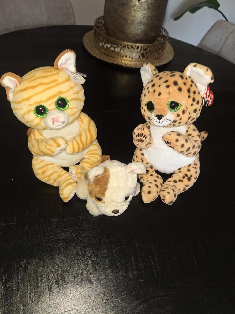 Ty beanie bellie's/ babies, Ophalen of Verzenden, Zo goed als nieuw, Overige typen