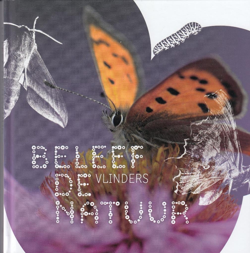 Nederland- 2019- Vlinders- Beleef de Natuur- Boek, Verzenden, Na 1940, Postfris