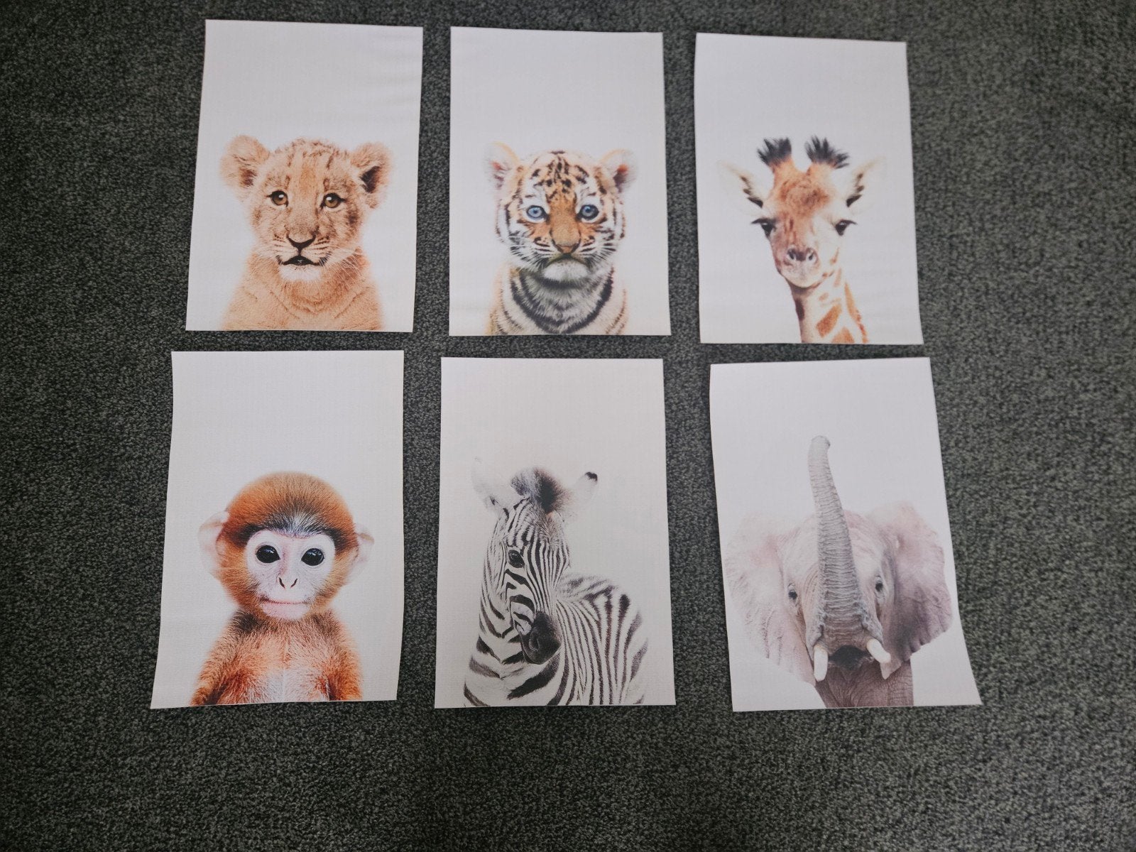 Dierenposters, Ophalen of Verzenden, 2000 tot heden