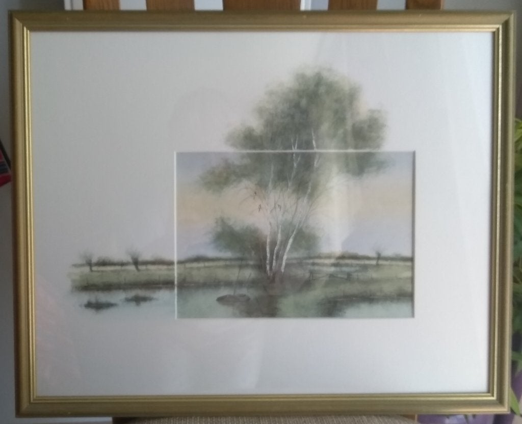 AQUAREL SCHILDERIJ, mooi ingelijst       (zo goed als nieuw), Ophalen of Verzenden, Achter glas, Landschap