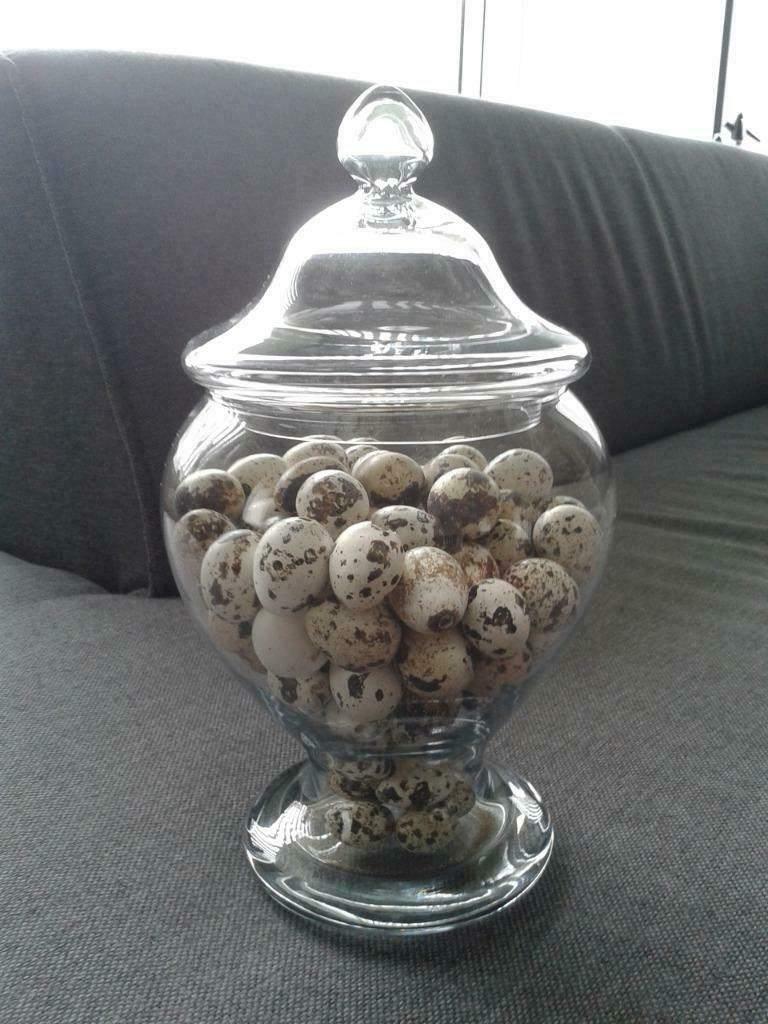 Glazen voorraadpot gevuld met kwarteleieren in Nieuwstaat!, Ophalen, Zo goed als nieuw, Glas