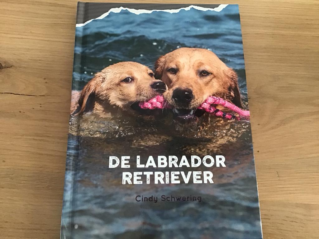 Boek: De Labrador Retriever door Cindy Schwering, Boeken, Dieren en Huisdieren, Nieuw, Honden, Ophalen of Verzenden