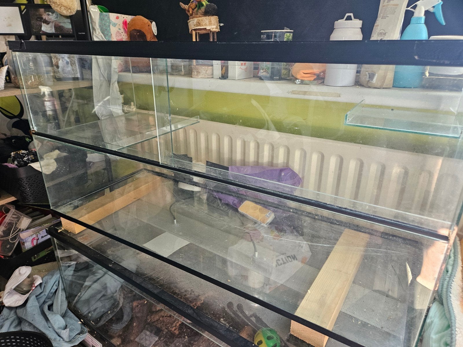 Hamster terrarium, Ophalen