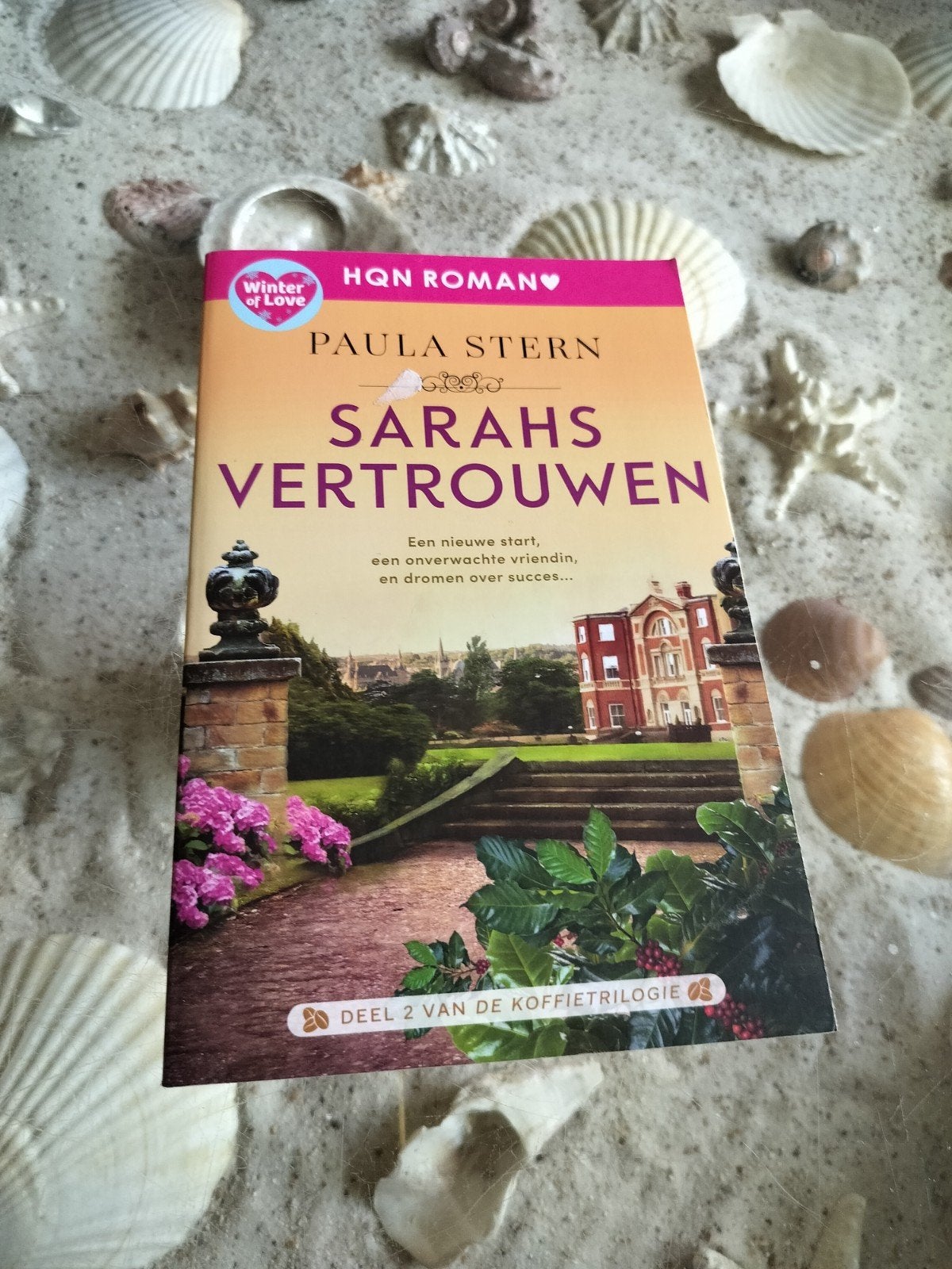 Paula Stern - Sarahs vertrouwen