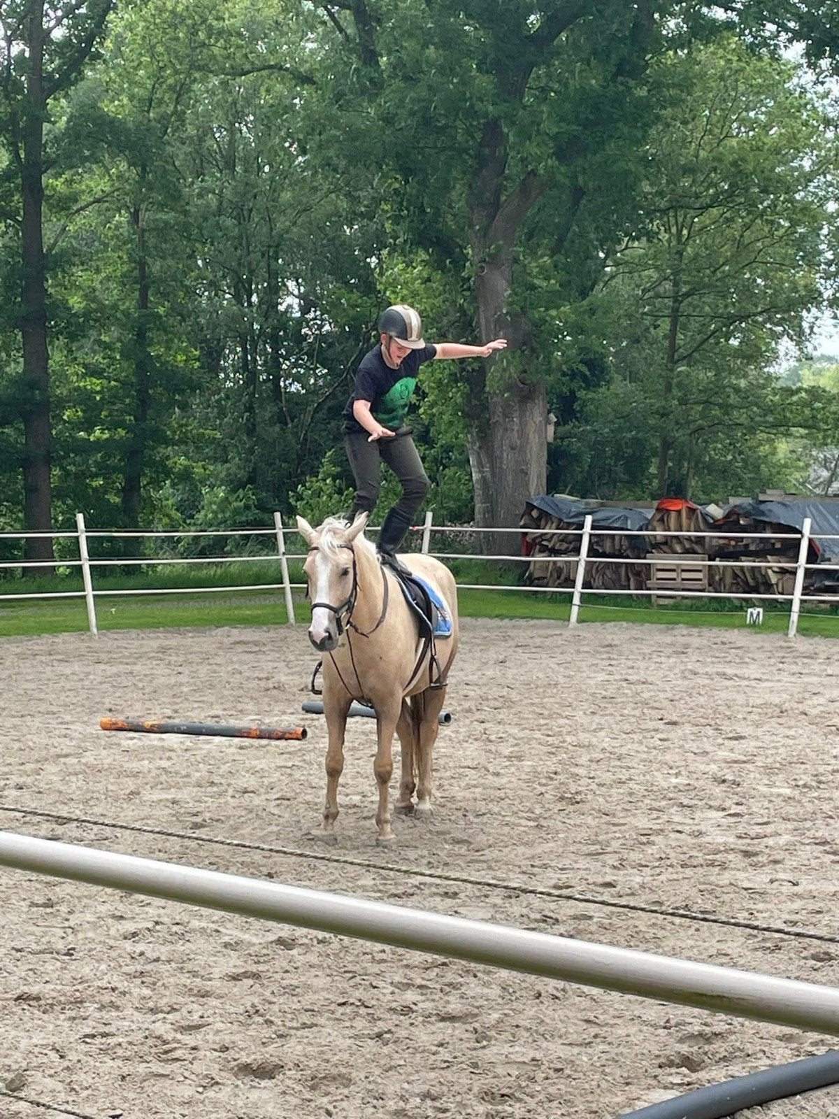 Leuke pony zeer geschikt voor Buitenritten !, Merrie