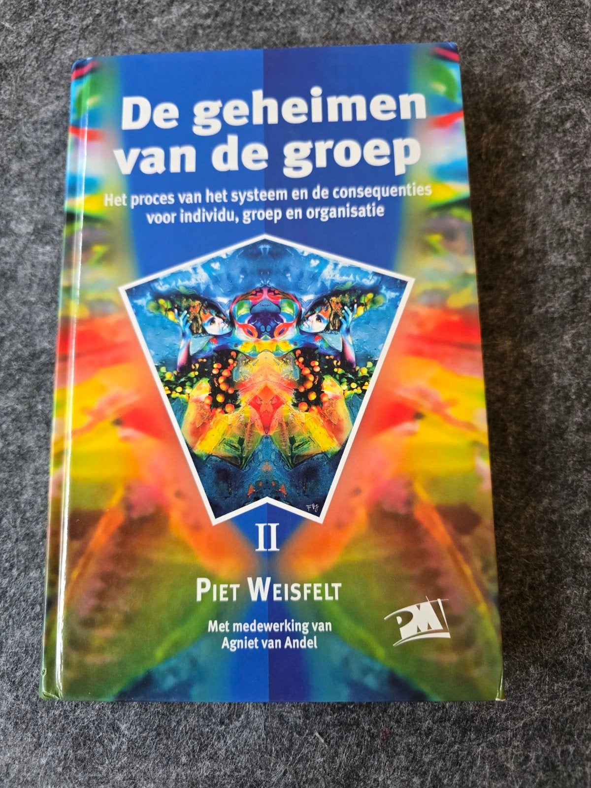 De geheimen van de groep - Piet Weisfelt, Boeken, Ophalen of Verzenden, Zo goed als nieuw, Sociale psychologie, Piet Weisfelt