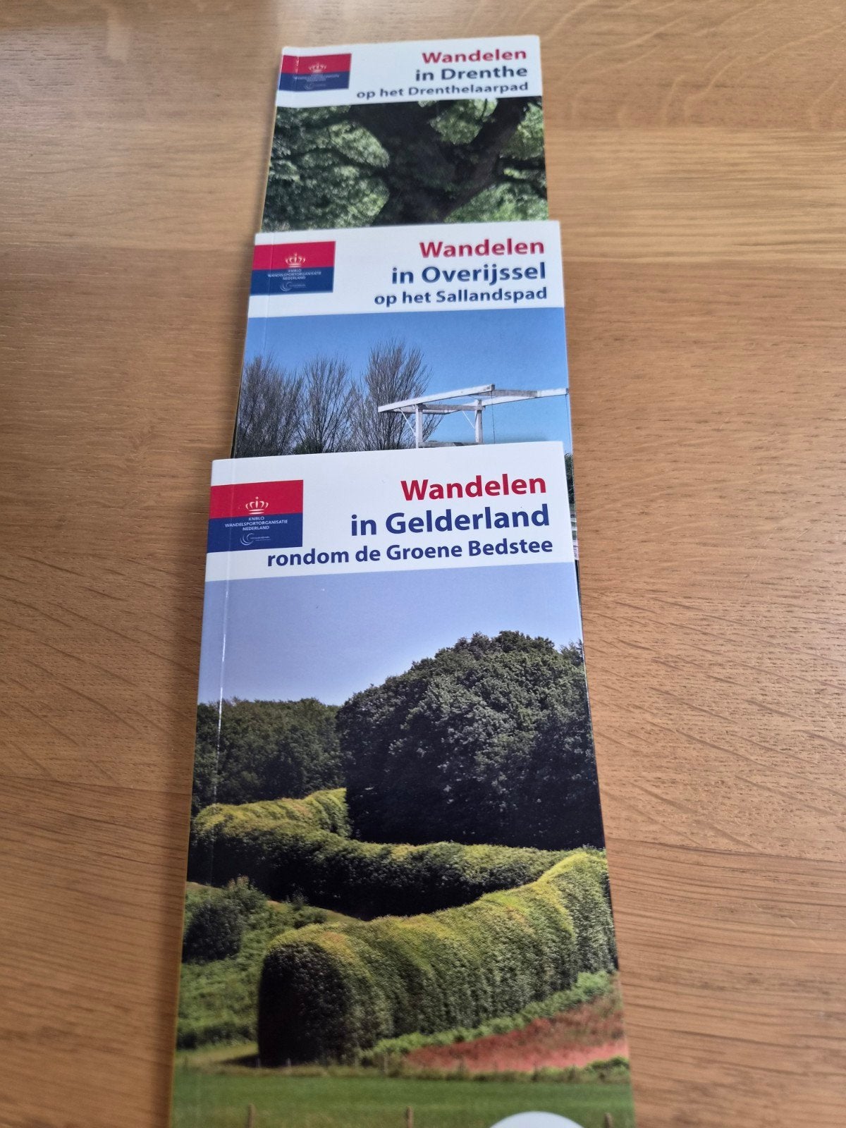 Wandelen in Drenthe, Overijssel en Gelderland, Boeken, Reisgidsen, Ophalen of Verzenden, Benelux, Fiets- of Wandelgids, Overige merken
