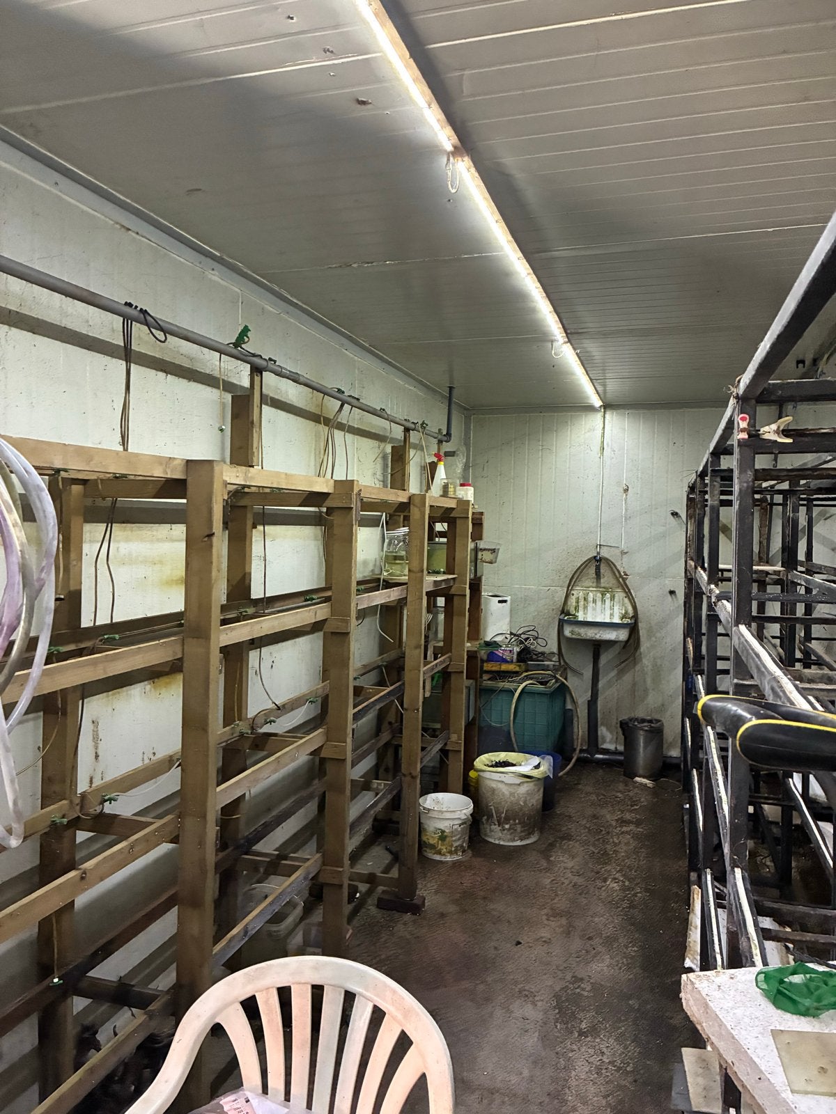 Geïsoleerde ruimte van sandwichpanelen (8x4.6x2.6m), Ophalen, Gebruikt, Overige materialen, 100 mm of meer