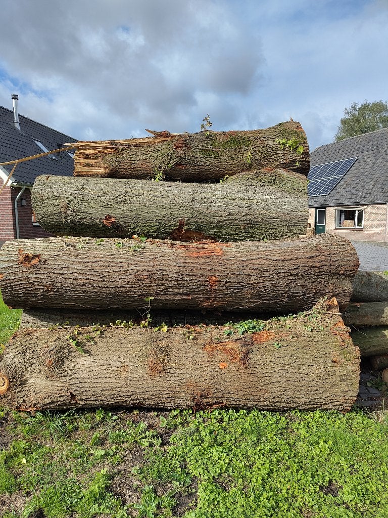 Zaaghout,Stamhout,Eiken,Zaagbollen, Doe-het-zelf en Verbouw, Overige typen, Ophalen of Verzenden, 250 tot 300 cm, 50 mm of meer