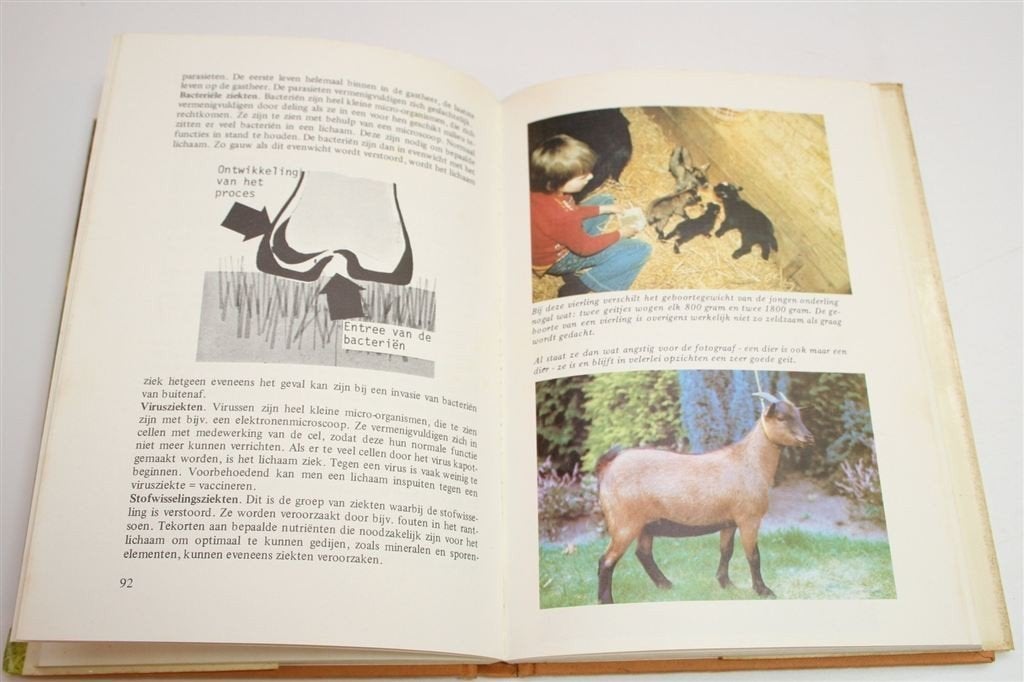 Dwerggeiten — Een Handboek over Rassen & Verzorging, Ophalen of Verzenden, Gelezen, Katten