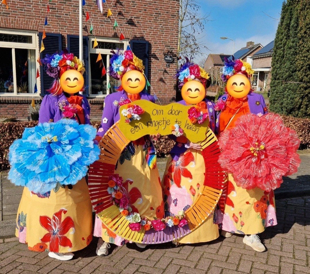 carnavalskleding 4 pakken, Kleding | Dames, Carnavalskleding en Feestkleding, Ophalen of Verzenden, Zo goed als nieuw, Carnaval