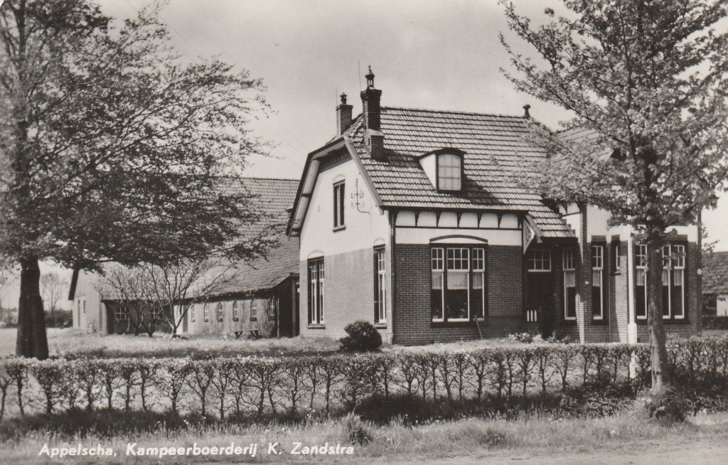 Appelscha, Ophalen of Verzenden, 1960 tot 1980, Gelopen, Friesland