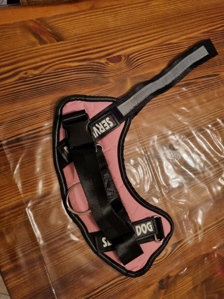 Nieuwe hondenriem zwart roze maat m, Ophalen of Verzenden, Nieuw, Hondenriem