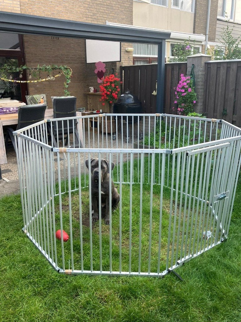Puppyren Hondenren Aluminium Opvouwbaar 8x76 cm 63 Hoog, Ophalen of Verzenden, Nieuw, Hondenren