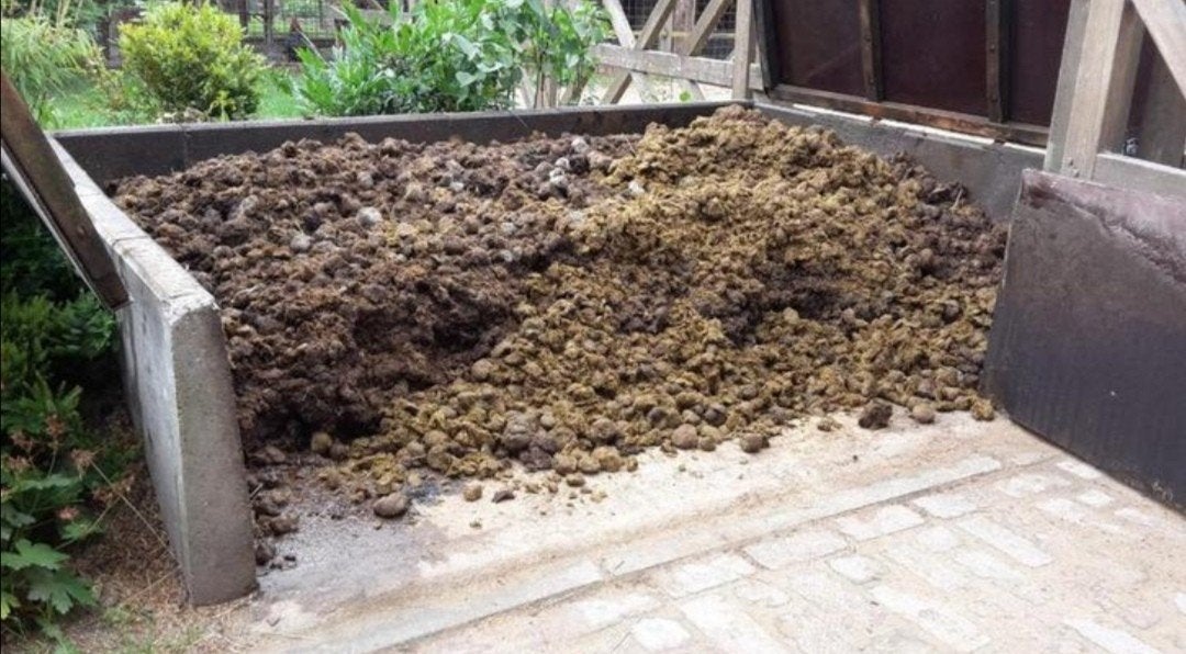 Gratis op te halen in Eerbeek: Paardenmest, Ophalen