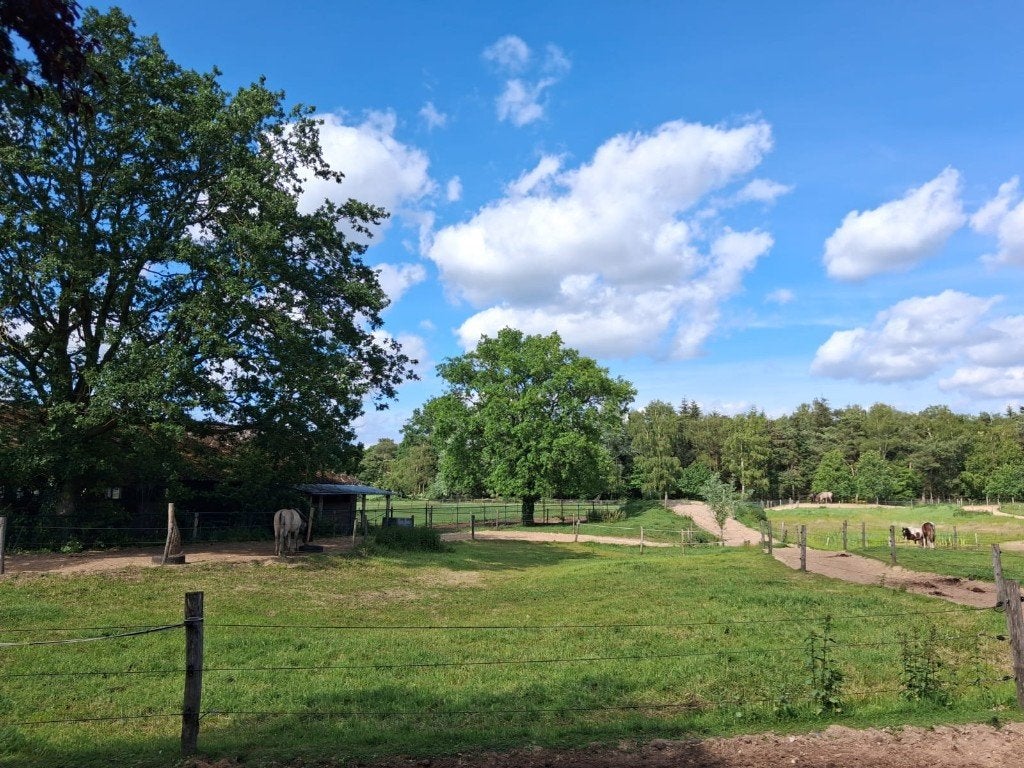 Paddock paradise pensionstalling aangeboden