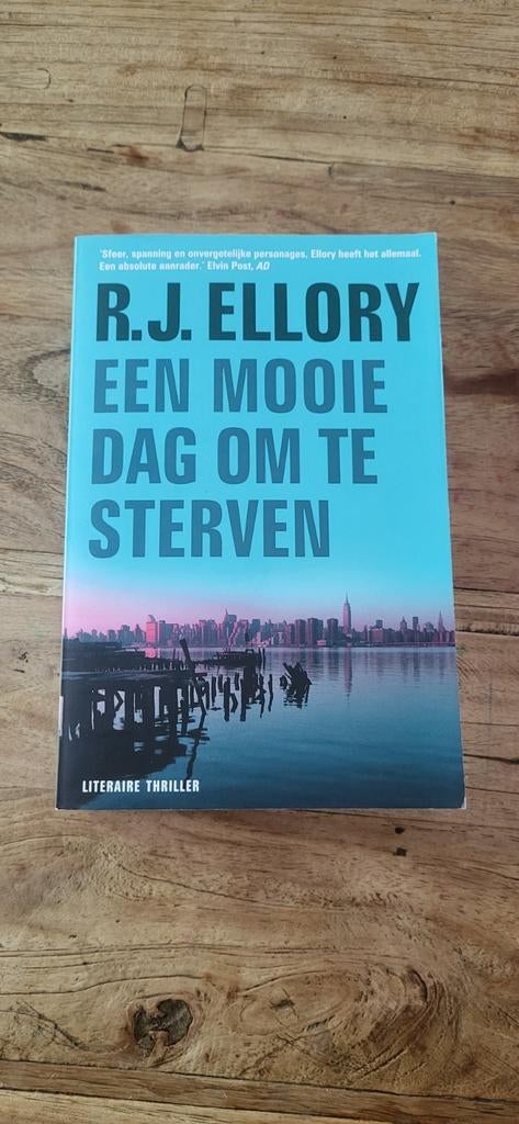 R.J. Ellory - Een mooie dag om te sterven, Boeken, Ophalen of Verzenden, Gelezen, R.J. Ellory