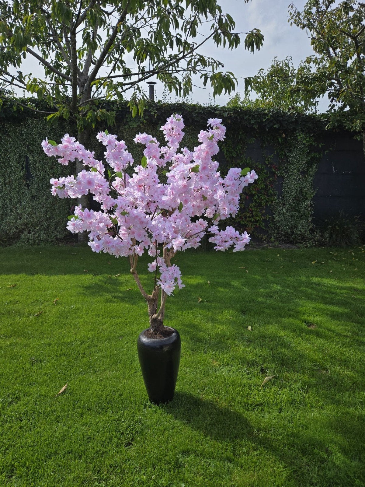 Nieuwe Kunstbloesem - Roze Bloesemboom in Zwarte Pot, Roze, Met pot of vaas, Nieuw, Ophalen of Verzenden