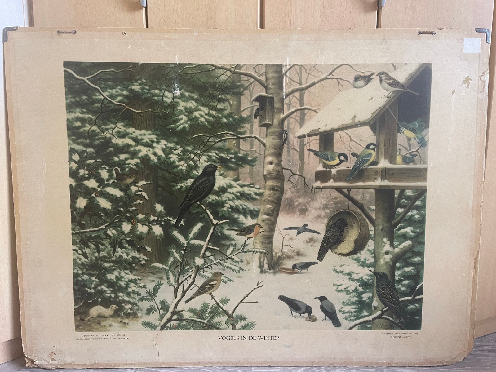 Vintage schoolplaat 'Vogels in de Winter', Antiek en Kunst, Ophalen, Natuur en Biologie