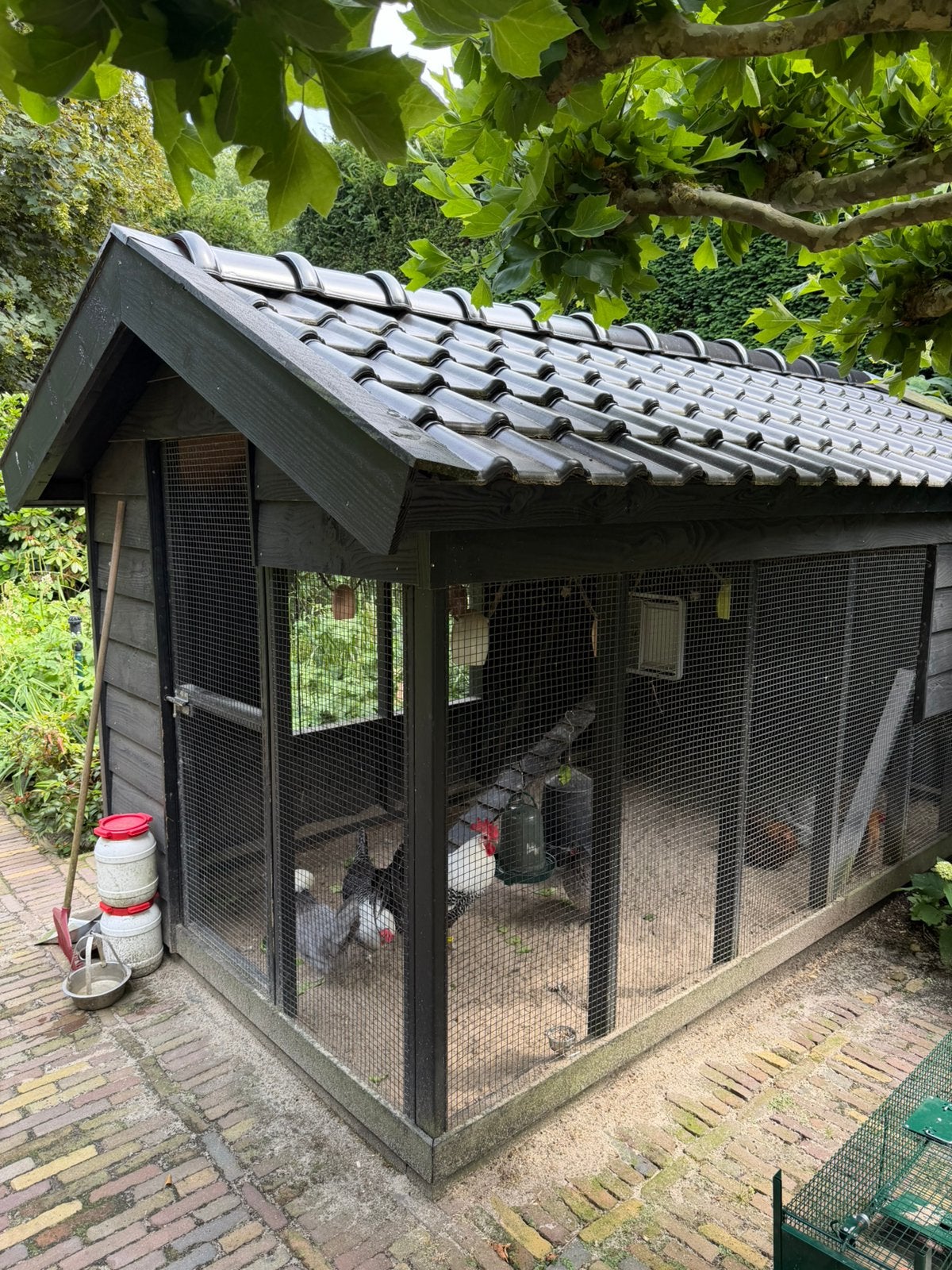 Kippenhok met kippen gratis af te halen na 14 juli 26, Dieren en Toebehoren, Pluimvee | Toebehoren, Ophalen, Gebruikt, Kippenhok of Kippenren